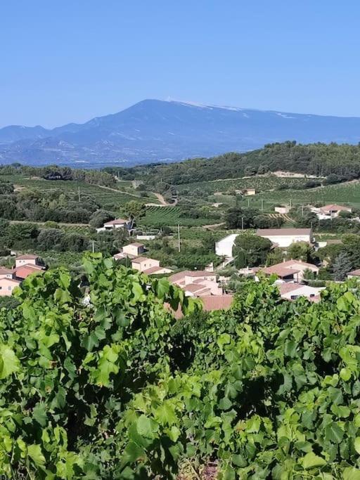 Châteauneuf-du-Pape Maison De Village מראה חיצוני תמונה